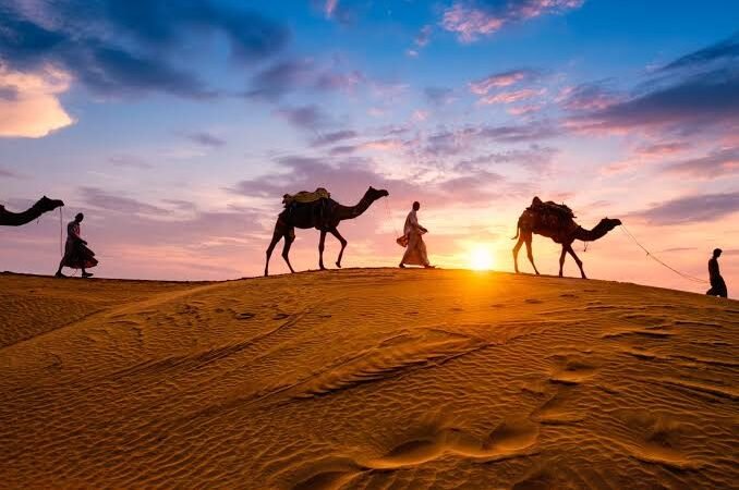 desert safari guide