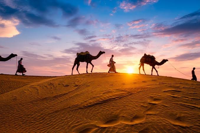 desert safari guide
